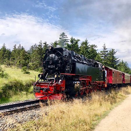 Fewo Schlossblick #Innenstadt #Garten #Netflix Von Harztraveler Wernigerode Buitenkant foto