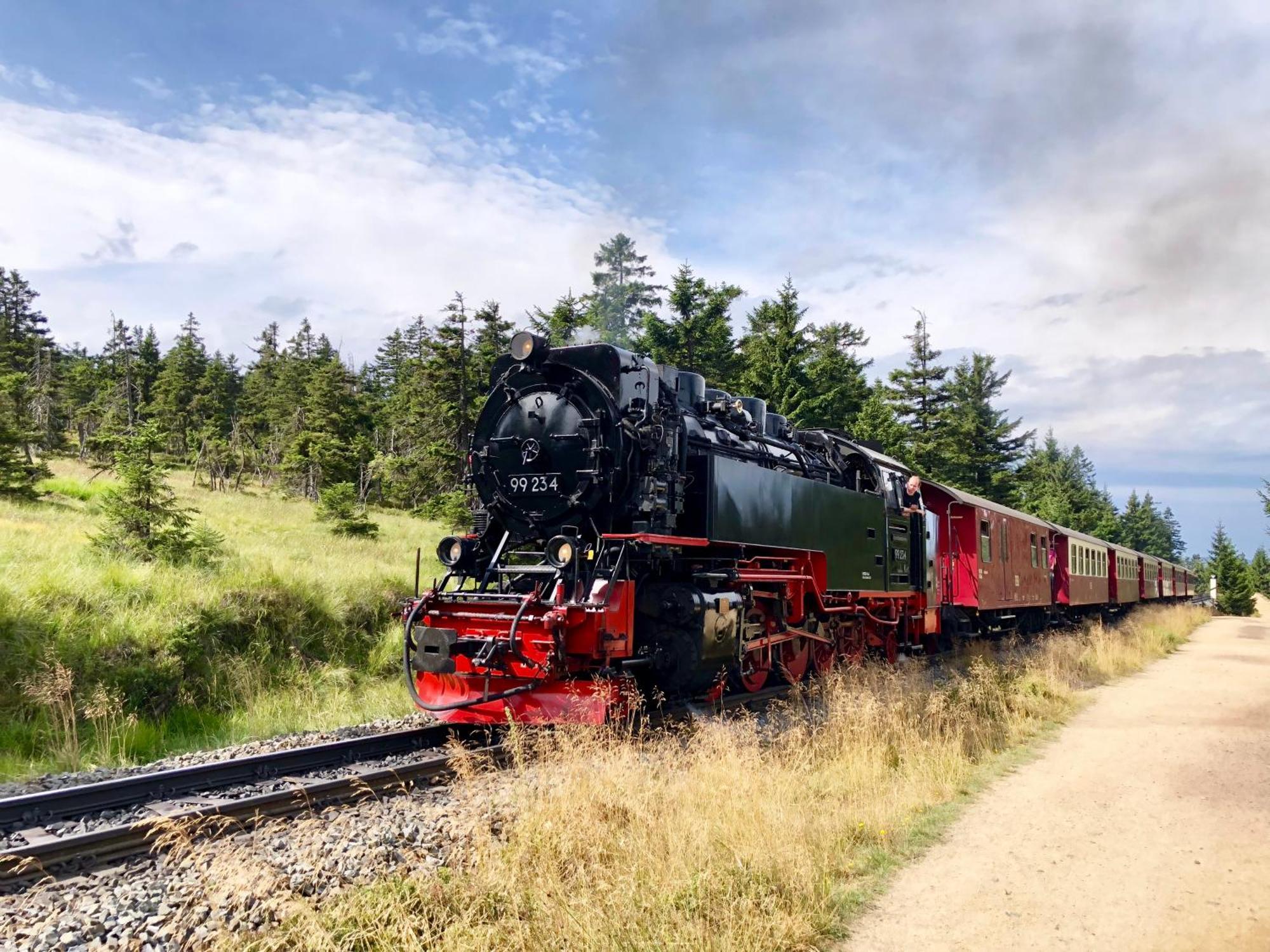 Fewo Schlossblick #Innenstadt #Garten #Netflix Von Harztraveler Wernigerode Buitenkant foto